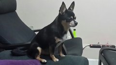 Spike sitting proud